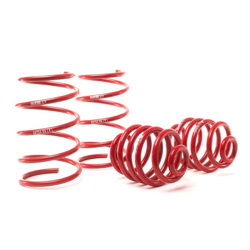 H&R Sport Lowering Springs  – BMW Z3 Typ RC, 6 cyl 1996-2002