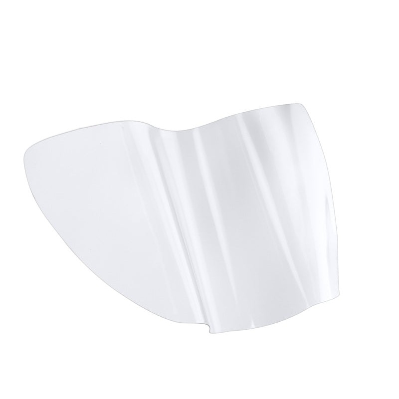 WeatherTech 2025 Porsche Taycan LampGard – Transparent