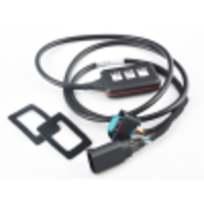 Remus 2002+ Mini Cooper Throttle Responder